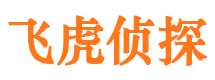 萨嘎市婚外情调查